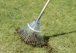 Laubbesen mit Stiel Classic 46 cm Arbeitsbreite