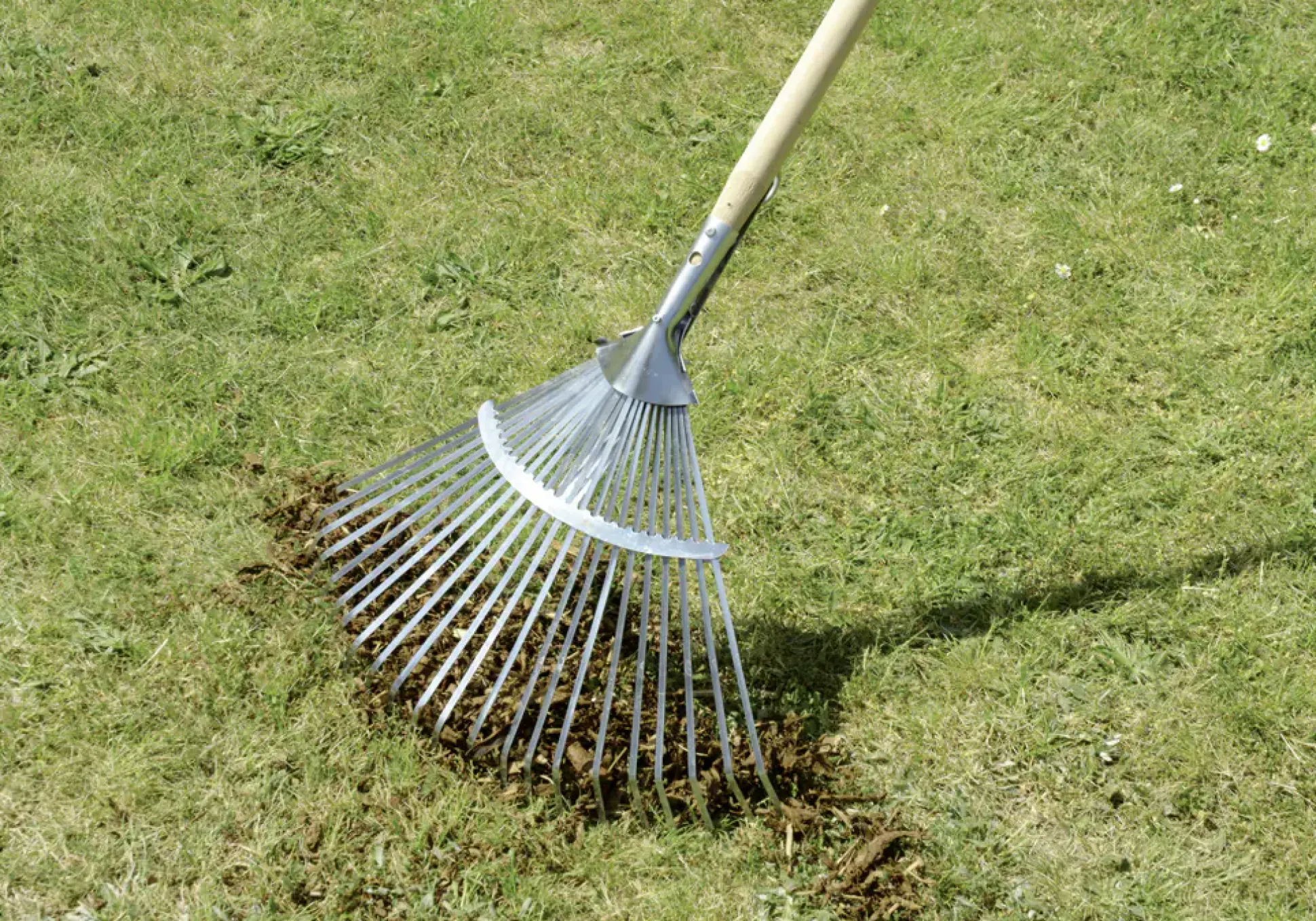 Laubbesen mit Stiel Classic 46 cm Arbeitsbreite