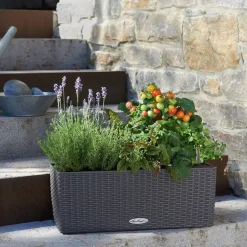 Lechuza Balkonkasten BALCONERA Cottage 50 cm, granit