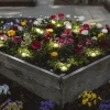 Ledvance LED Außenleuchte Smart+ WiFi Garden Dot klar 9 Dots 4,50m