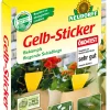 Neudorff Gelbsticker 10 Stück