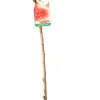 Obststrauch Johannisbeere rot 3 L Container