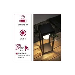 Paulmann LED Solarleuchte Marisol schwarz 40 x 15cm mit Bewegungsmelder