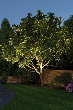 Paulmann Plug & Shine Bodeneinbauleuchte Outdoor schwenkbar