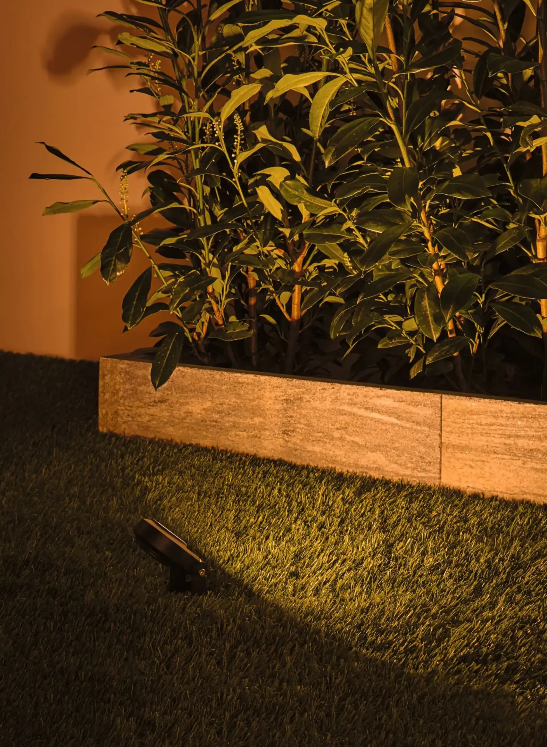 Paulmann Plug & Shine LED Spot Sting insect-friendly anthrazit 3er-Set