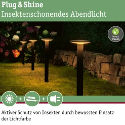 Paulmann Plug & Shine LED Pollerleuchte Plate insect-friendly anthrazit