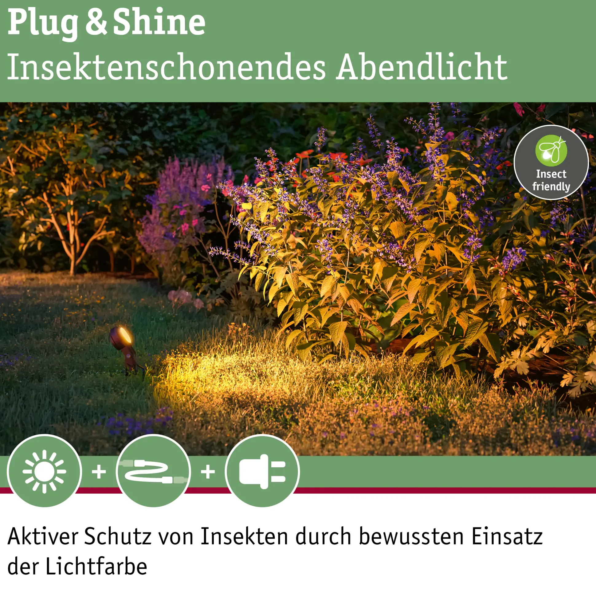Paulmann Plug & Shine LED Spot Sting insect-friendly anthrazit 29 x 5,2 cm