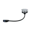 Paulmann Plug & Shine LED Bodeneinbauleuchte Floor insect-friendly Ø 7 cm