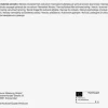 Pegasus BigBag Narzissen Trompetenmischung Narcissus pseudonarcissus