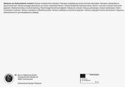 Pegasus BigBag Narzissen Trompetenmischung Narcissus pseudonarcissus