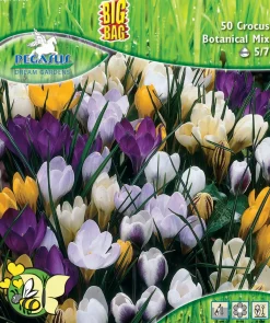 Pegasus Herbstblumenzwiebel Big Bag Botanische Krokus Mischung 50 Stück