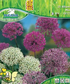 Pegasus Herbstblumenzwiebel Big Bag Allium Zierlauch Mischung 25 Stück
