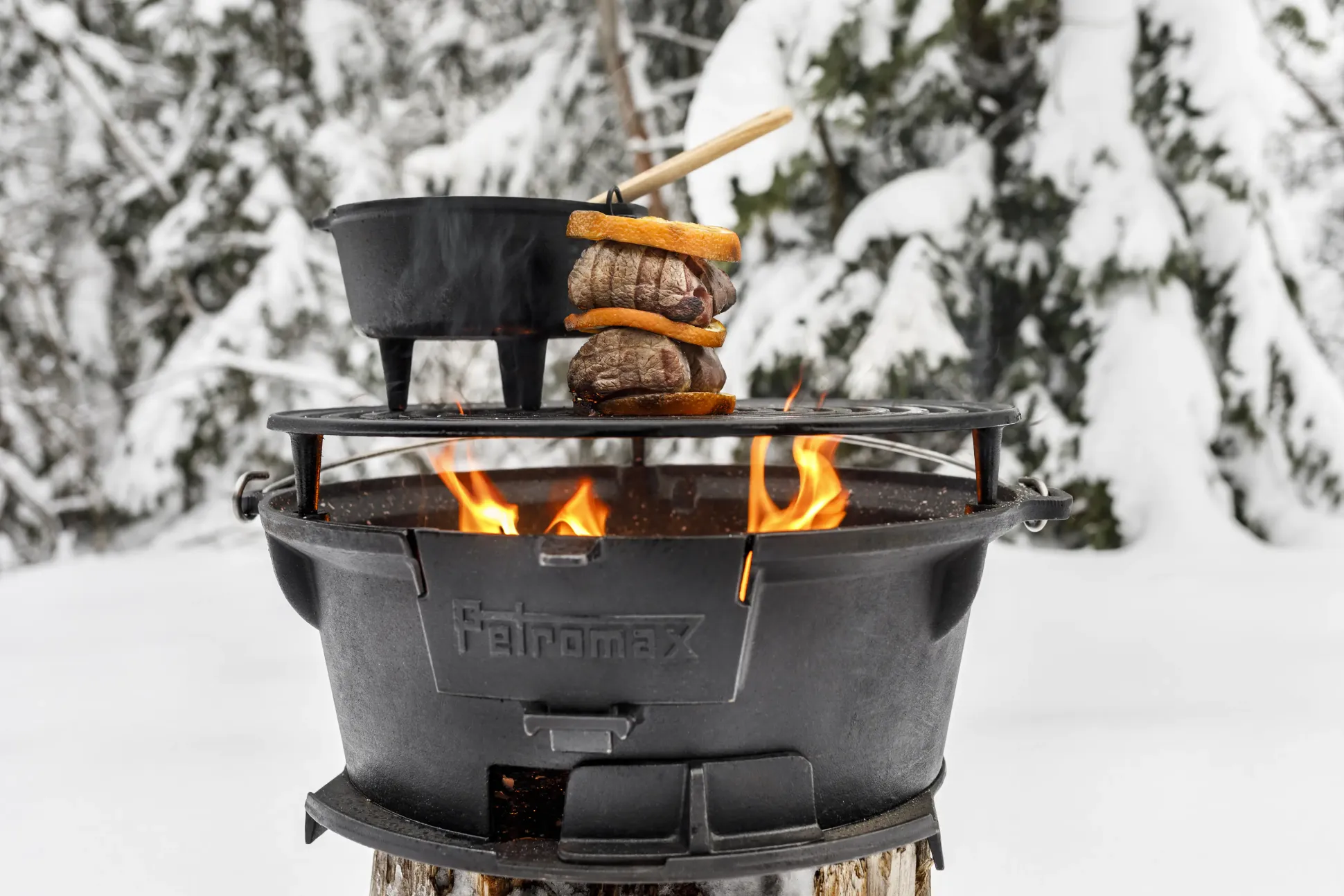 Petromax Feuergrill TG3