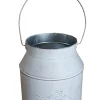 Pflanzgefäß Kanne Zink 18 x 16 x 16 cm grau
