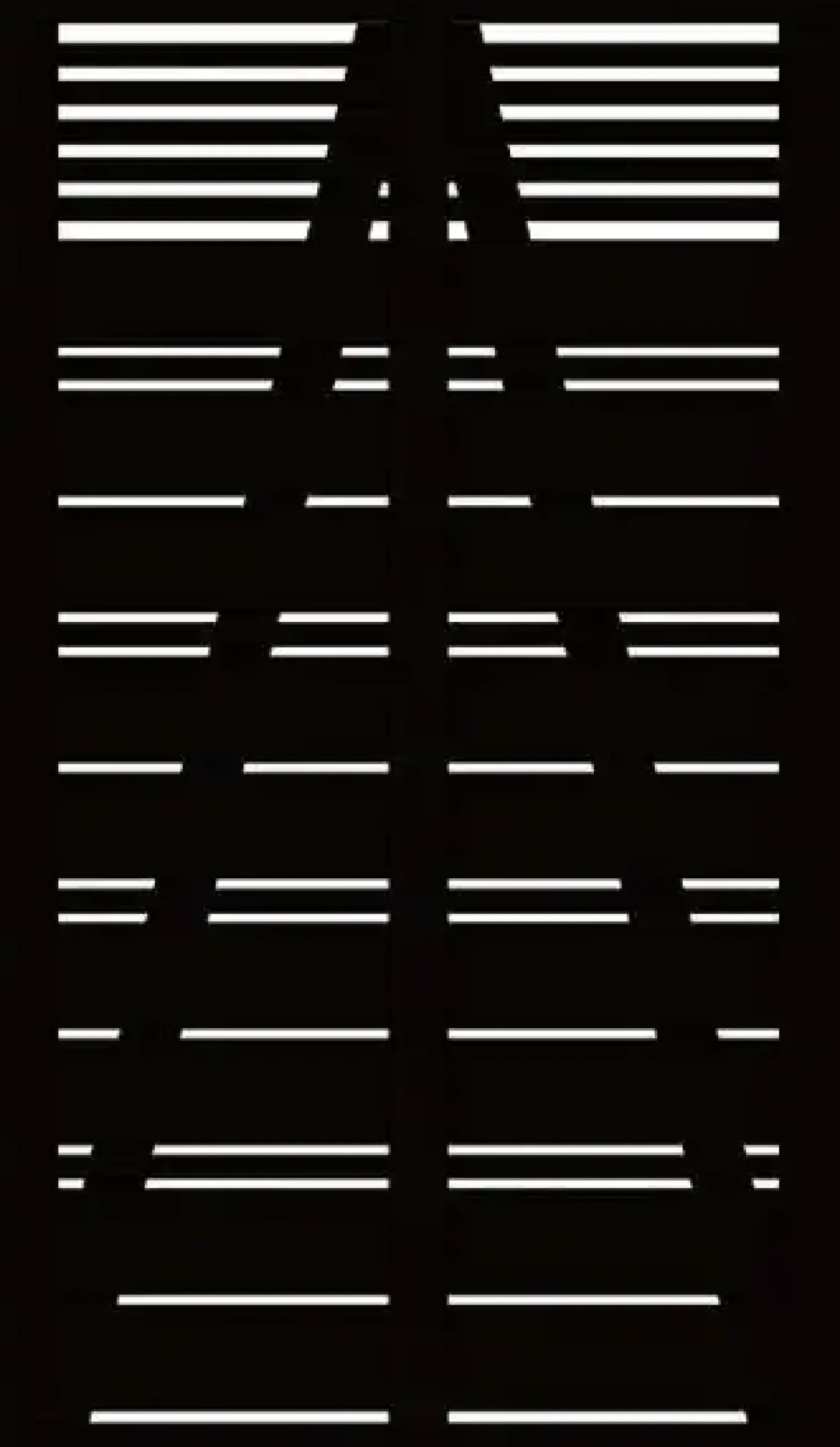 Plus Einzeltor Silence 100 x 170 cm schwarz