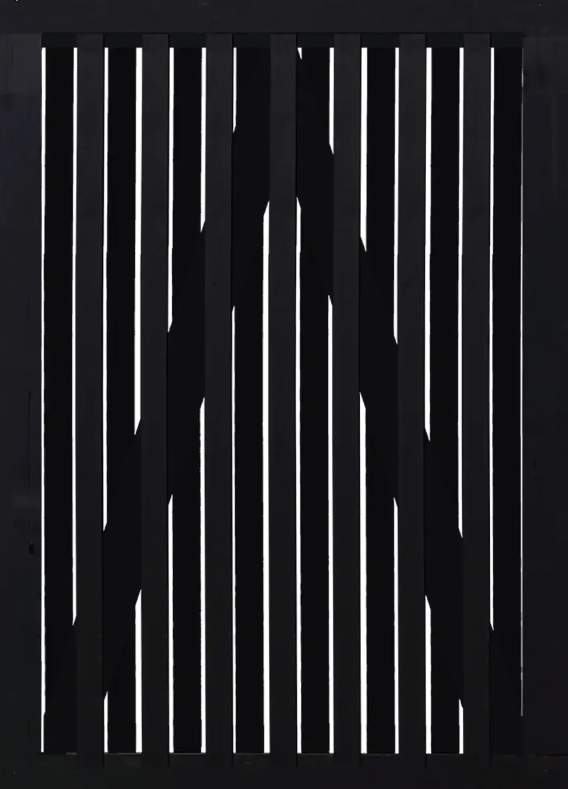 Plus Tor Nagano 100 x 140 cm RAL 9005 Schwarz