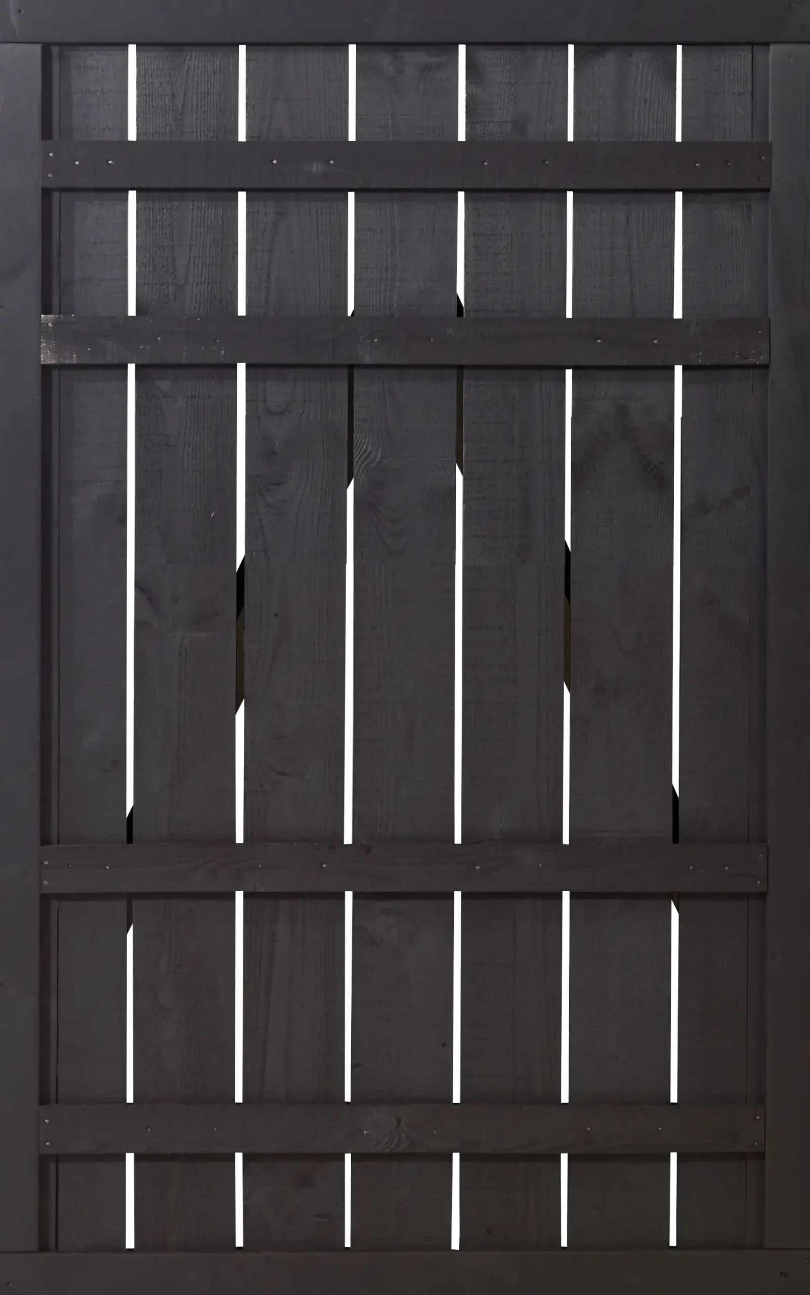 Plus Zauntür Rustik 100 x 158 cm schwarz