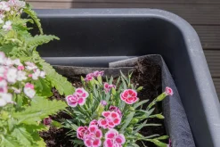 Premium Garden Blumenkastenvlies 1 x 1 m