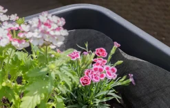 Premium Garden Blumenkastenvlies 1 x 1 m