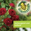 Protect Garden Curamat AZ Rosen-Pilzfrei 15 ml