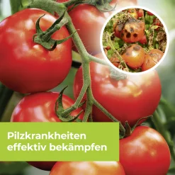 Protect Garden Curamat AZ Rosen-Pilzfrei 15 ml