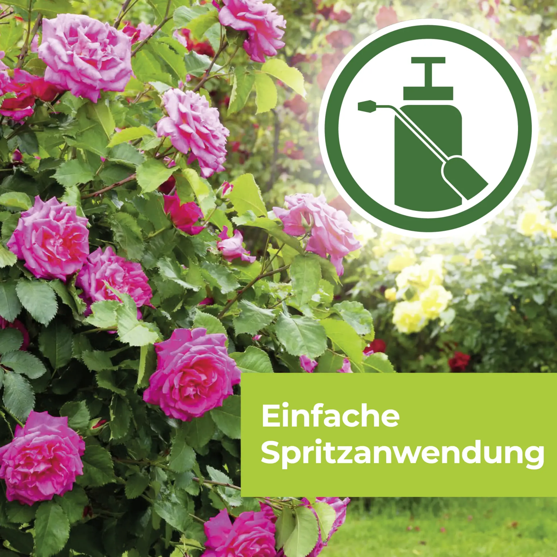 Protect Garden Curamat AZ Rosen-Pilzfrei 15 ml