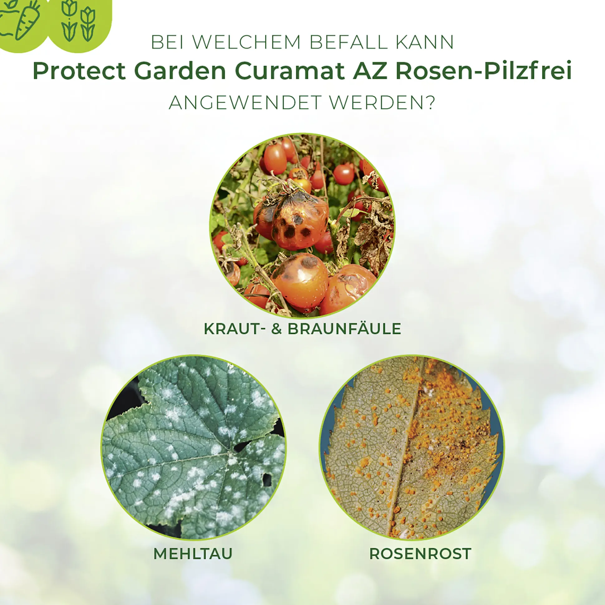 Protect Garden Curamat AZ Rosen-Pilzfrei 15 ml