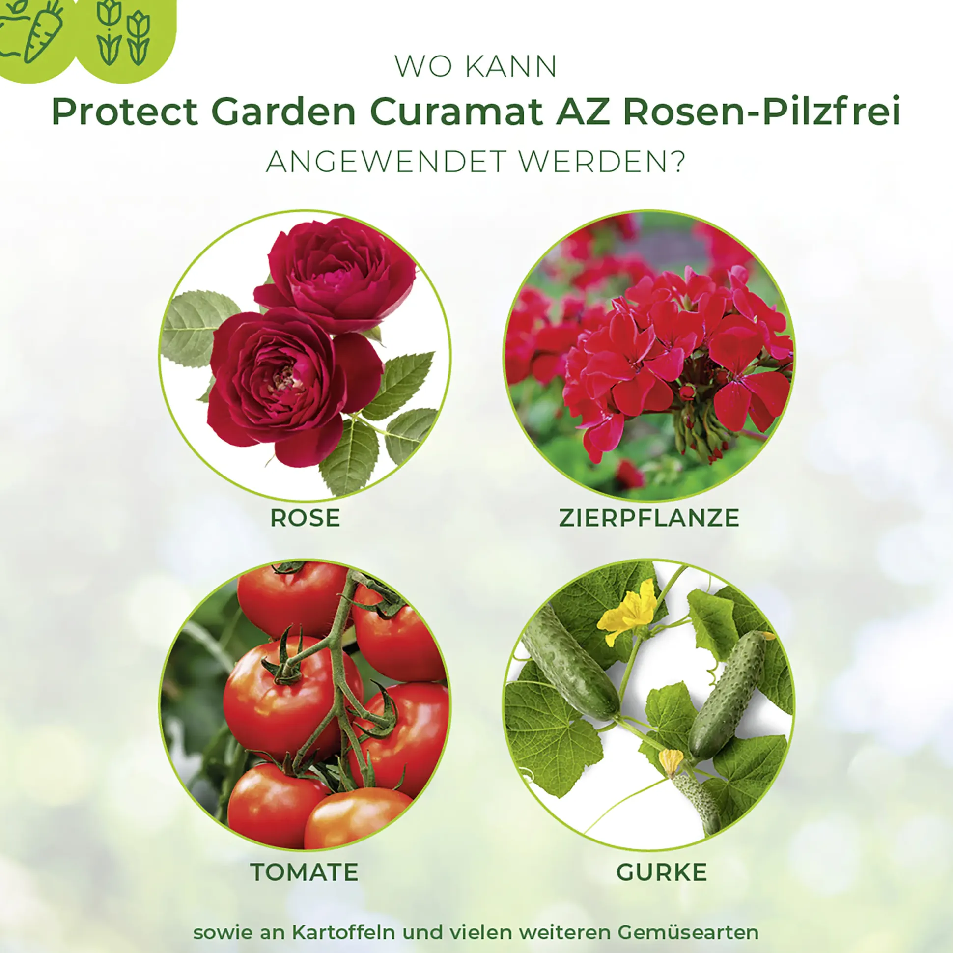 Protect Garden Curamat AZ Rosen-Pilzfrei 15 ml