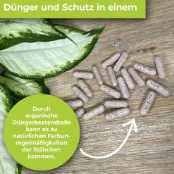 Protect Garden Lizetan Plus Combistäbchen 2 in 1 10 Stück