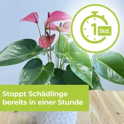 Protect Garden Lizetan Plus Schädlingsfrei 2 x 4 ml