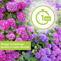 Protect Garden Lizetan Plus Schädlingsfrei AF 3 l