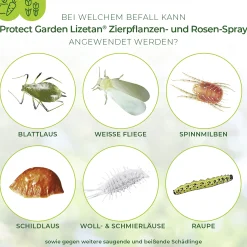 Protect Garden Lizetan Zierpflanzen- & Rosen-Spray AF 750 ml
