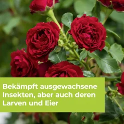 Protect Garden Lizetan Zierpflanzen- & Rosen-Spray AF 750 ml
