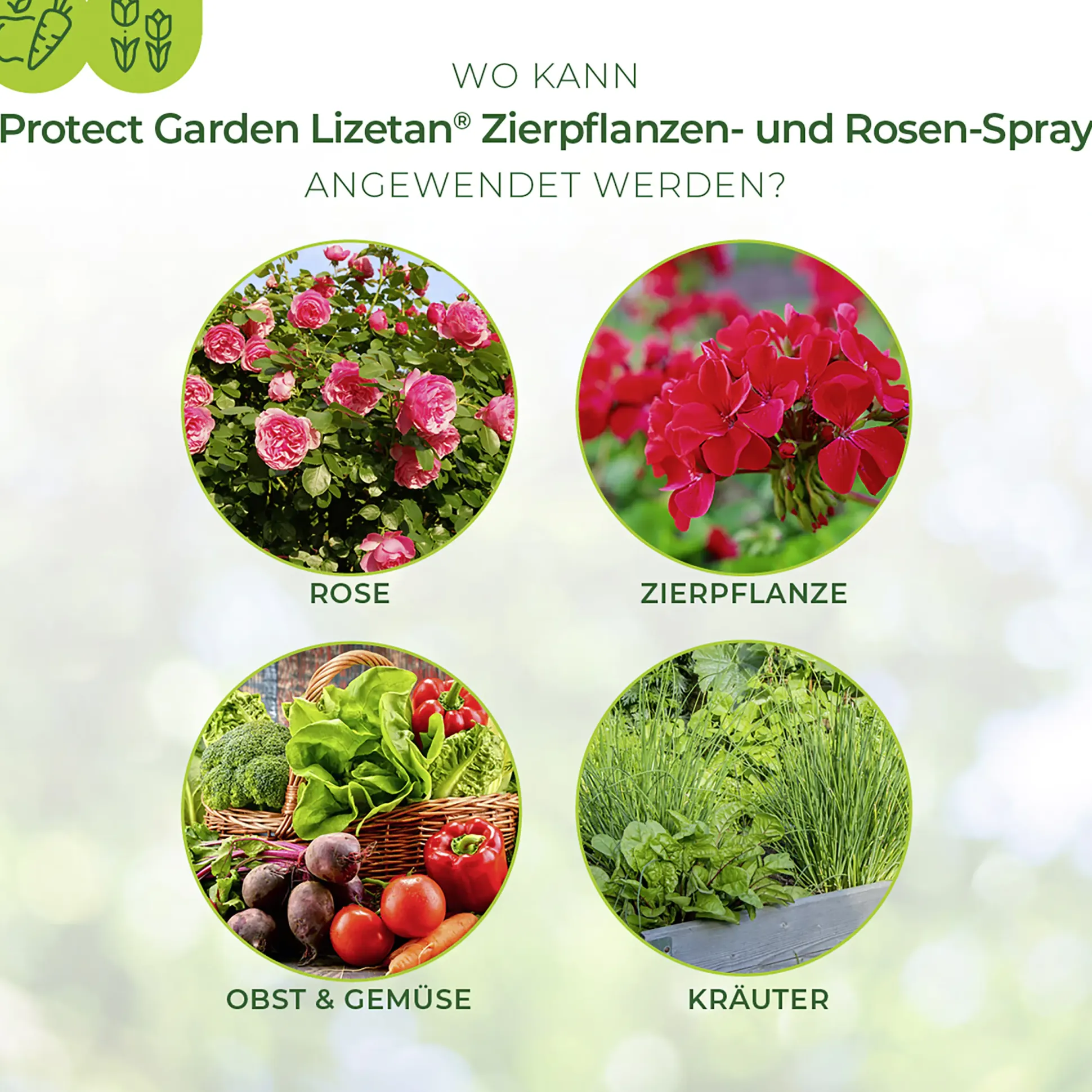Protect Garden Lizetan Zierpflanzen- & Rosen-Spray AF 750 ml