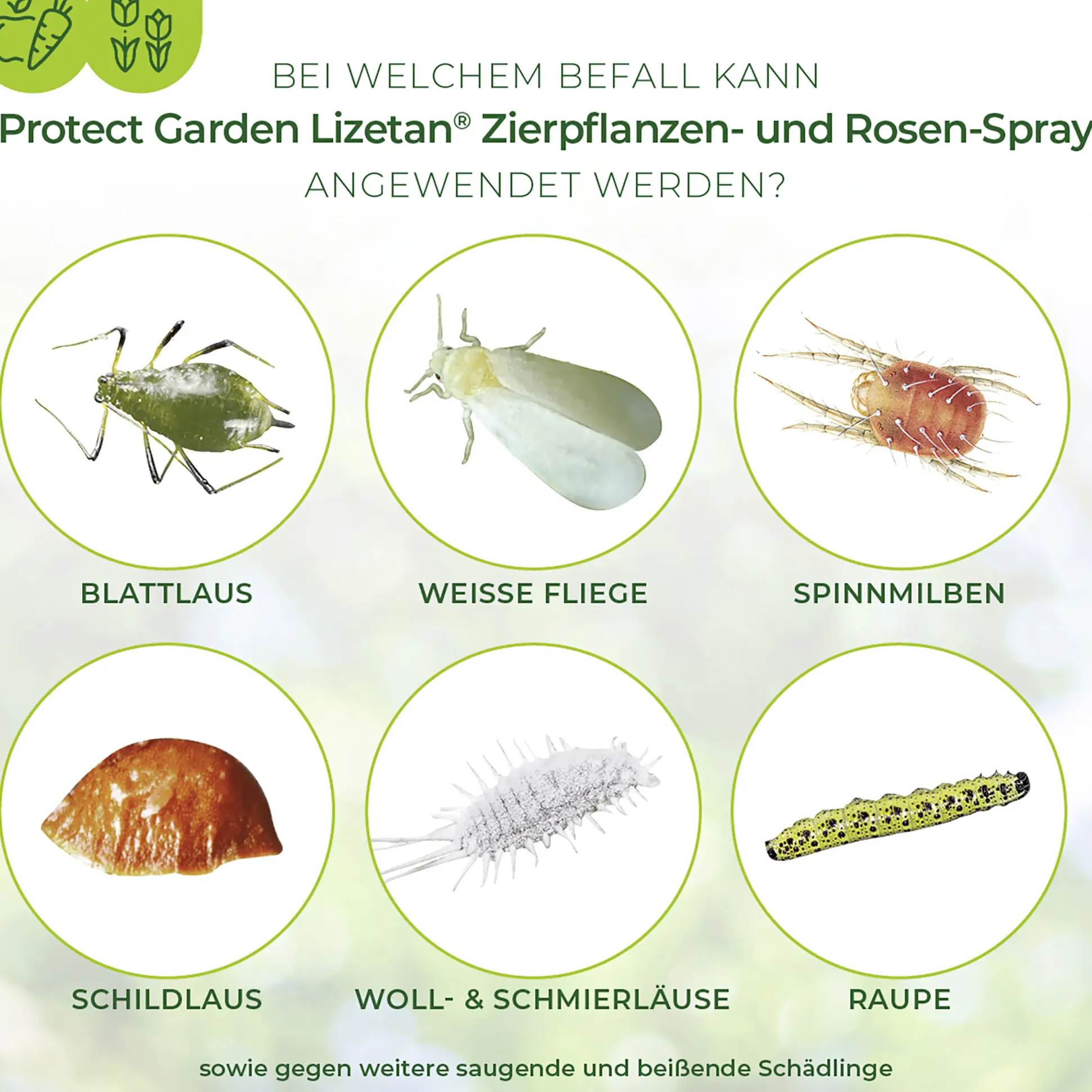 Protect Garden Lizetan Zierpflanzen- & Rosen-Spray AF 500 ml