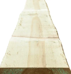 Rangerzaun 250 x 15-25 x 2,4 cm, kesseldruckimprägniert