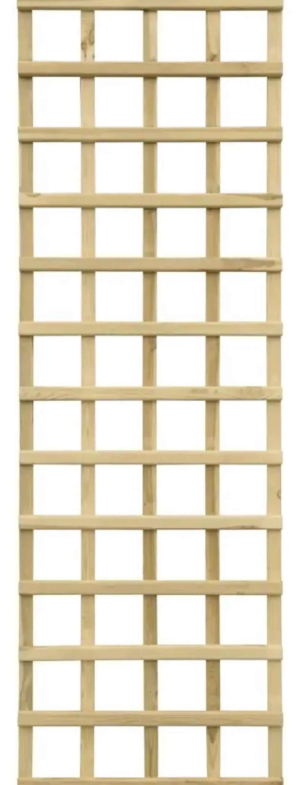 Rankgitter 60 x 180 cm kesseldruckimprägniert