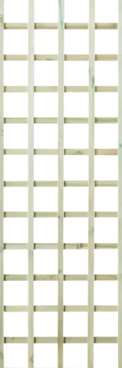 Rankgitter 60 x 180 cm kesseldruckimprägniert