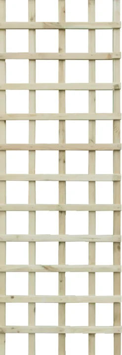 Rankgitter 60 x 180 cm kesseldruckimprägniert