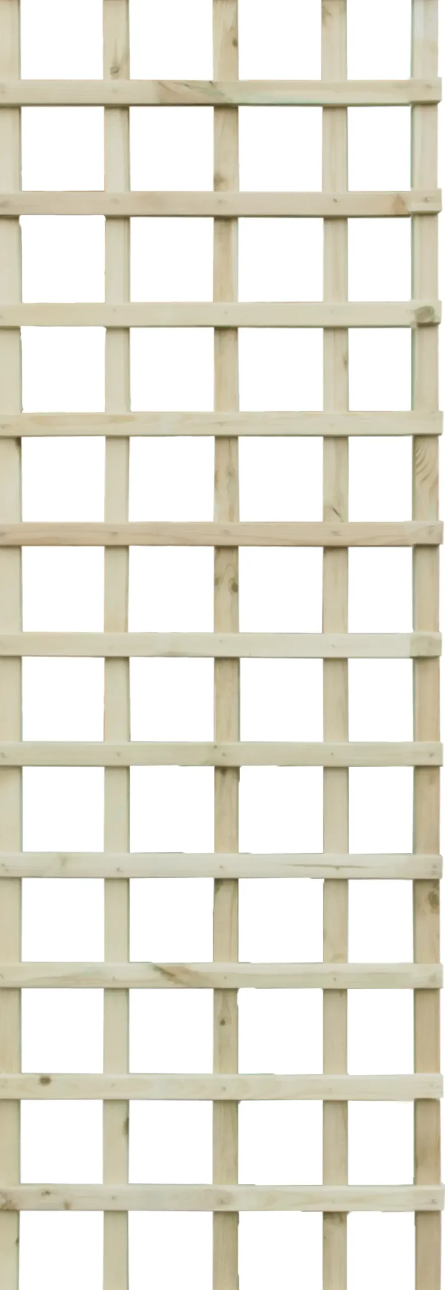 Rankgitter 60 x 180 cm kesseldruckimprägniert