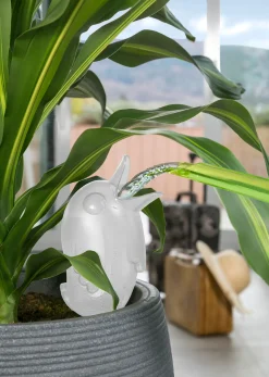 Scheurich Bewässerungshilfe Bördy groß transparent 20 cm