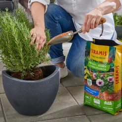 Seramis Pflanz-Granulat für Beet-, Balkon- & Kübelpflanzen 6 l