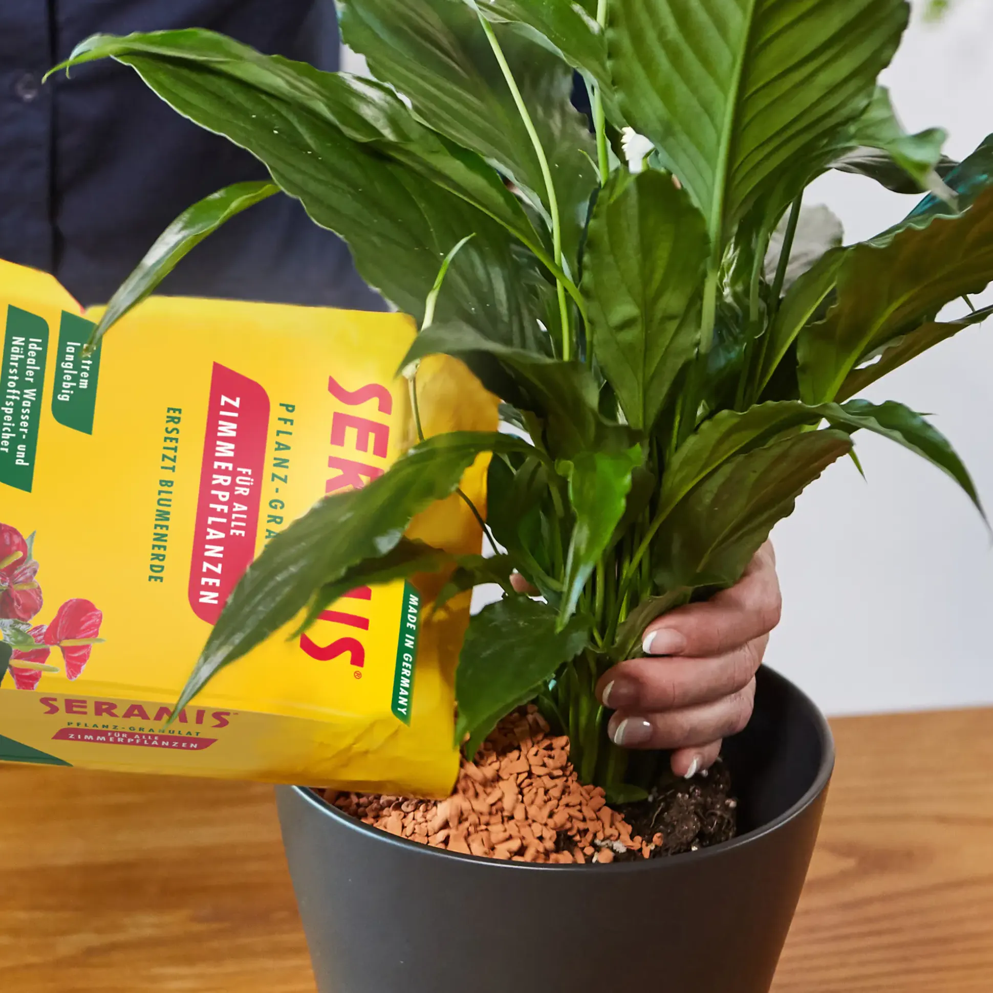 Seramis Pflanz-Granulat für Zimmerpflanzen 15 l + 2 Bio-Vitalkuren gratis