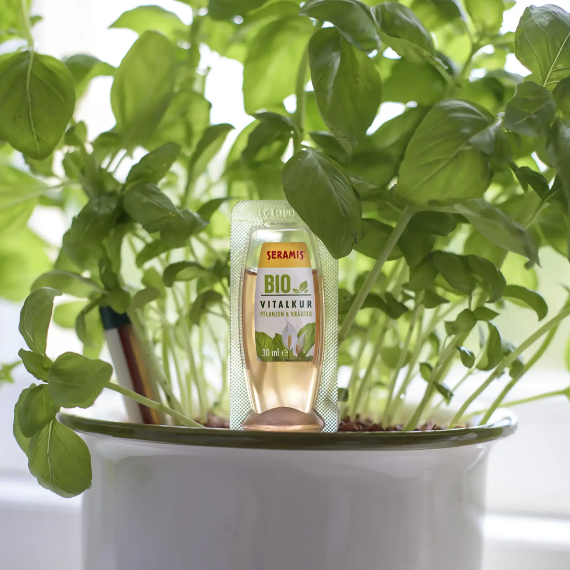 Seramis Pflanz-Granulat für Zimmerpflanzen 15 l + 2 Bio-Vitalkuren gratis