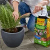 Seramis Pflanz-Granulat für Beet- Balkon- & Kübelpflanzen 12,5 L