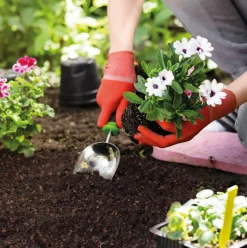 Seramis Torffreie Blumenerde 40 l