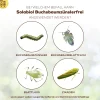 Solabiol Buchsbaumzünslerfrei 50 ml