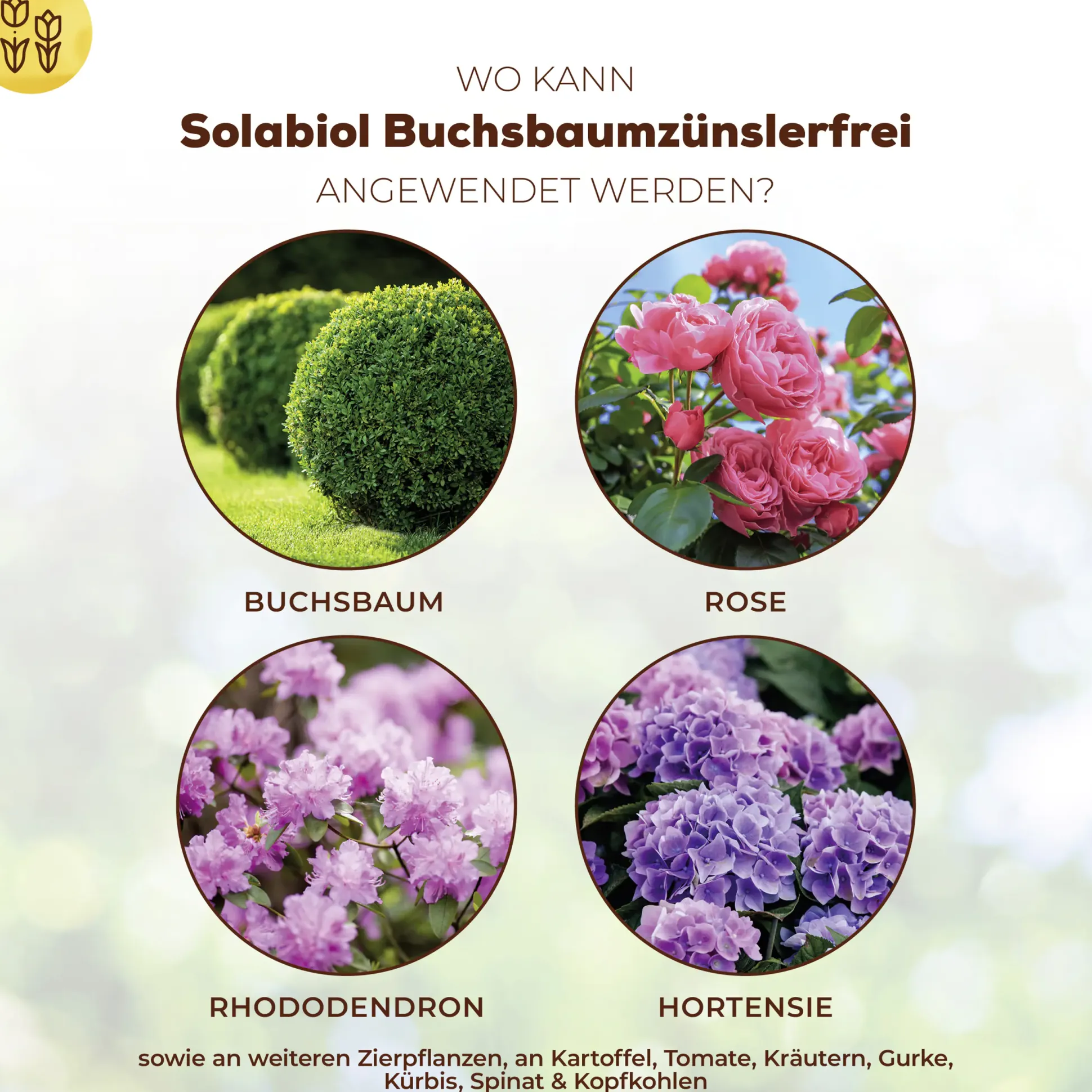 Solabiol Buchsbaumzünslerfrei 50 ml