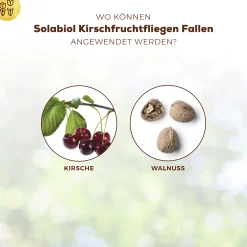Solabiol Kirschfruchtfliegen Fallen 5 Stück