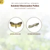 Solabiol Obstmaden Fallen 5 Stück